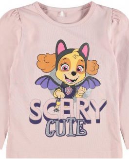 Name it Paw Patrol Ls