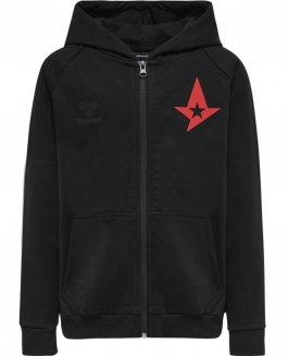 Hummel Astralis Zip Hoodie